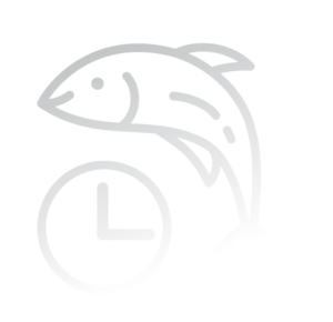 AQUA Dashboard Page - Make faster, data-driven decisions Icon