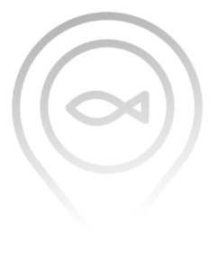 AQUA Feed Optimization Page - Flexible data input Icon