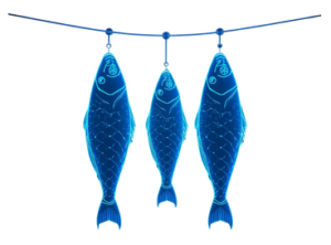 AQUA Harvest Forecasting Page - Harvest Forecast Image