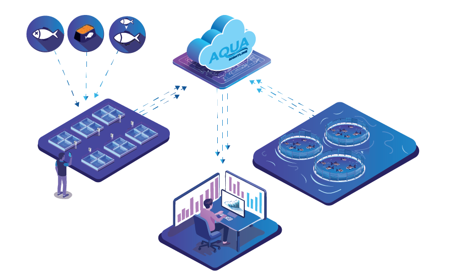 AS - How It Works Graphic - 0824 v4