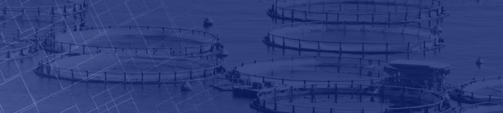 Determine how your fish hatchery can be improved using Sightline's data analytics and machine learning.