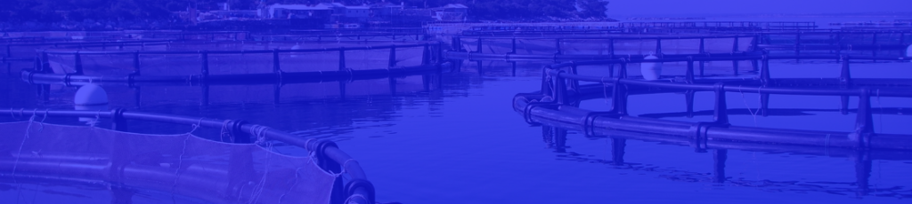 Enhance your aquaculture quality assurance through Sightline’s AI-enabled analytics software. 