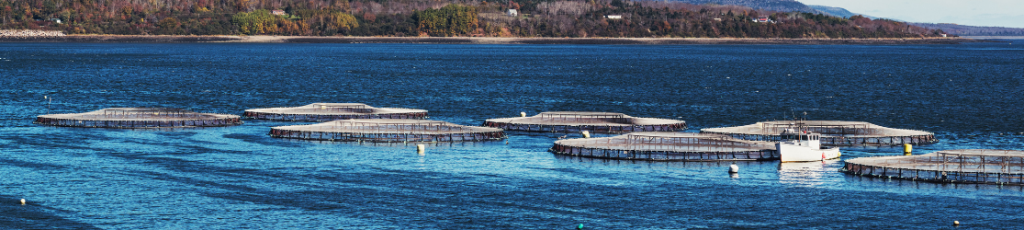 Capturer les informations relatives à la mesure de la qualité de l'eau