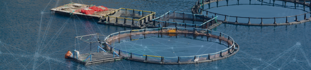 Améliorer la prévision des maladies en aquaculture