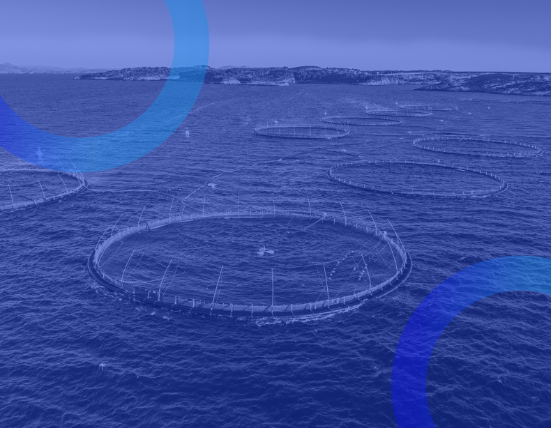 Stop the spread of SRS in farmed salmon