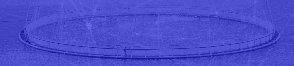 Utiliser l'analyse de données pour stopper la propagation du SRS dans le saumon d'élevage